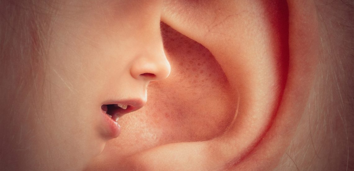 ear-g2b6e6827f_1920