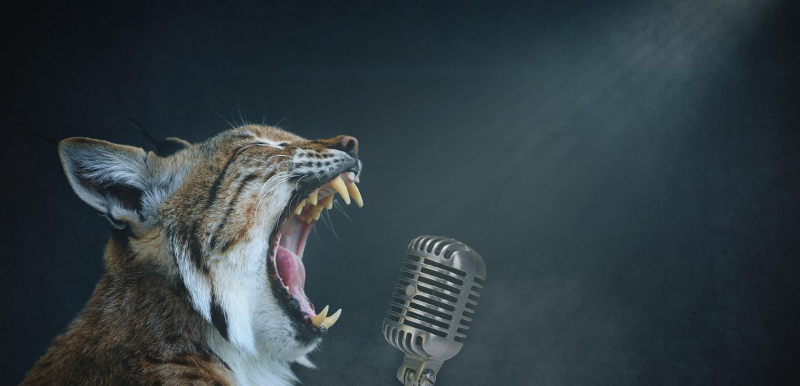 lynx-gd0ee3f9d0_1920